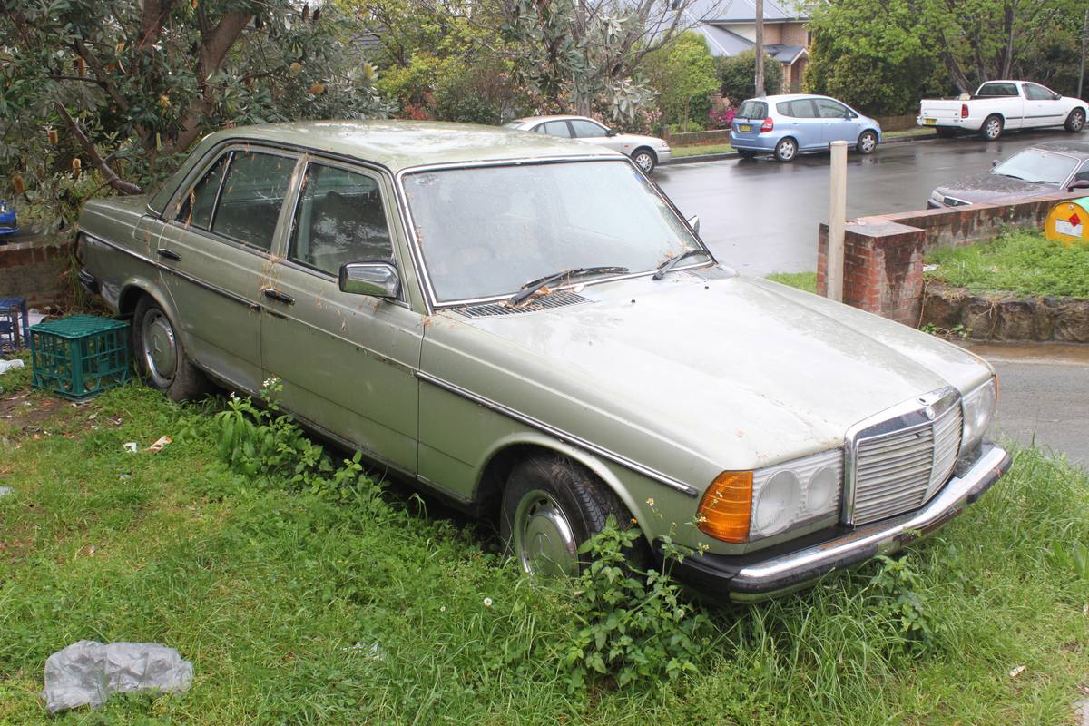 Stříbrozelený sedan Mercedes W123 stojí v trávě před cihlovou zídkou, karoserii pokrývá vrstva prachu a listí